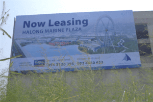 MARINE - Banner
